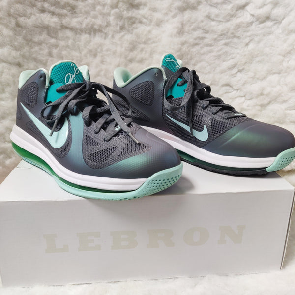 Nike Lebron Low Sneakers (Size 10 Women/ 8.5 Men)