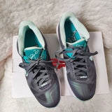 Nike Lebron Low Sneakers (Size 10 Women/ 8.5 Men)